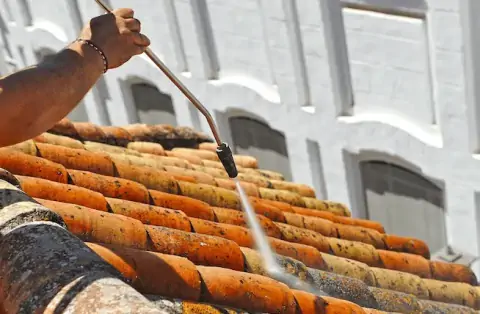 Nettoyage de toitures - Chanu